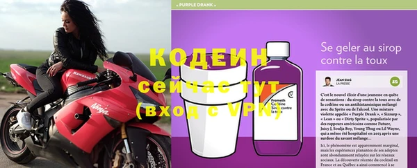 шишки Белокуриха