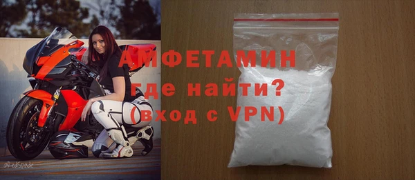 шишки Белокуриха
