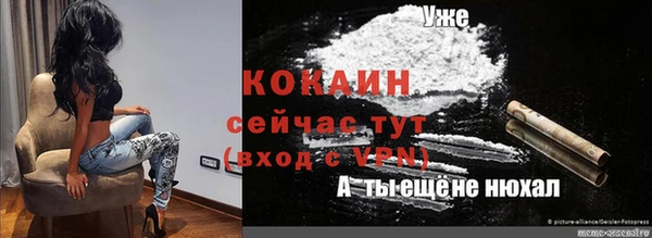 шишки Белокуриха