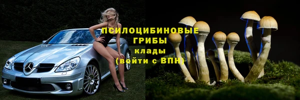 тгк Беломорск