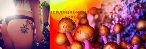 шишки Белокуриха