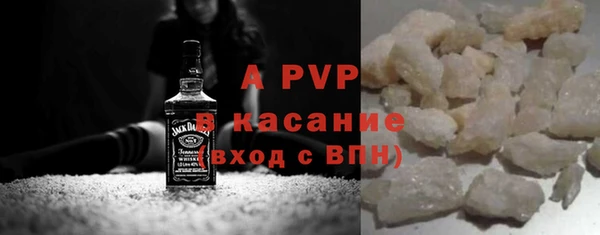 шишки Белокуриха