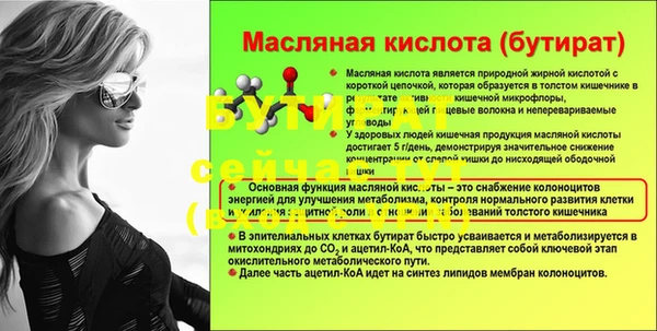 шишки Белокуриха