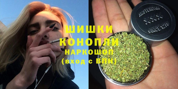 шишки Белокуриха