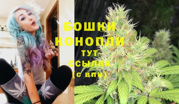 шишки Белокуриха