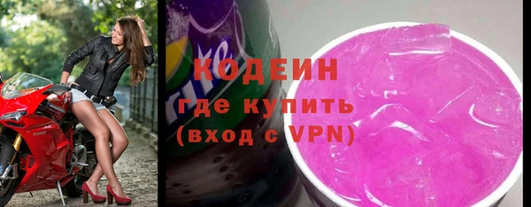 шишки Белокуриха