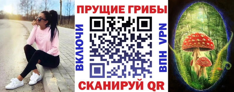 Псилоцибиновые грибы Psilocybe  цена наркотик  Пыть-Ях 